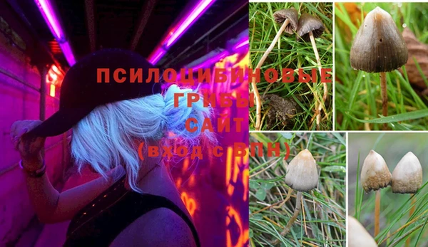 соль ск Михайловка