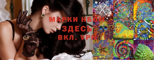 бошки Надым