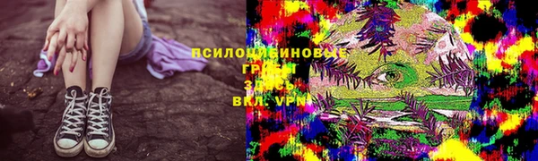 МДПВ Навашино