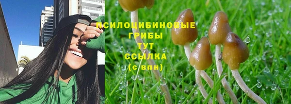 бошки Надым