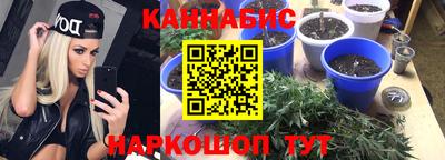 гашик Абакан