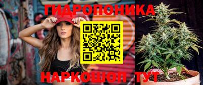 a pvp Абинск