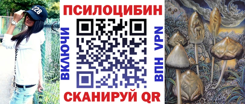 купить наркоту  Курчалой  Галлюциногенные грибы Cubensis 