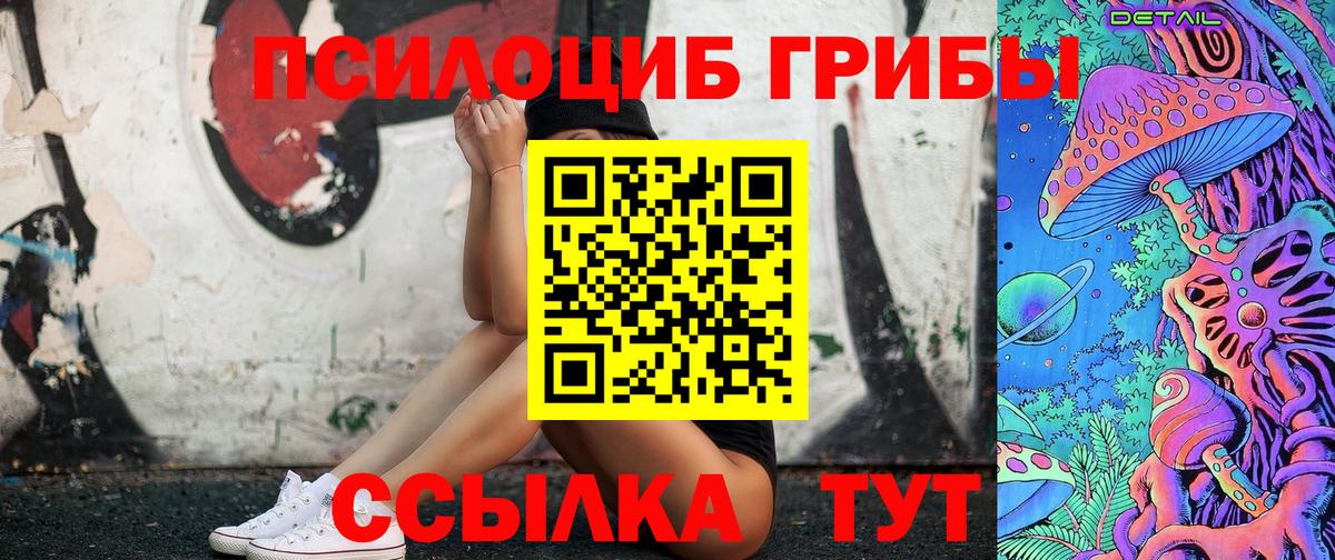Псилоцибиновые грибы Cubensis  даркнет сайт  Псилоцибиновые грибы Cubensis  Курчалой  Вход с VPN 
