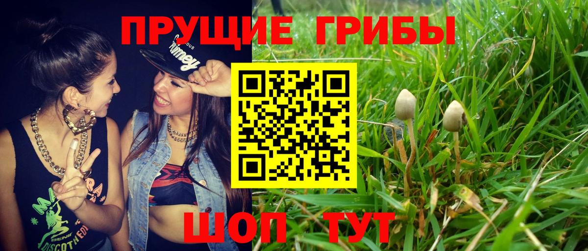Псилоцибиновые грибы Magic Shrooms  Вход с VPN  Курчалой 
